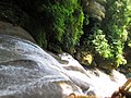 Pemandangan dari atas Air Terjun Bantimurung