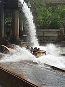 Bugs' White Water Rapids