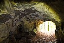 Blick aus der Leichenhöhle in den Wald