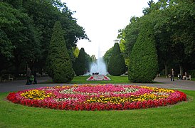 Tapete floral no parque Planty