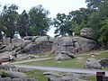 Også ved Devil's Den lige neden for Little Round Top blev der kæmpet hårdt.