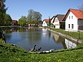 Common with pond in village of Doubek east of Prague