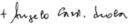 Angelo Scola's signature