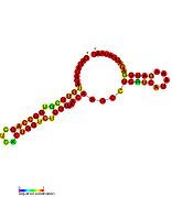 HOTAIR_2: Secondary structure taken from the Rfam database. Family RF01905