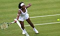 Serena Williams is the Ladies' champion, after beating her sister Venus in 2009 – turning the tables on her sister, who won in 2008. This is Serena's third Wimbledon Women's Singles title, and her eleventh slam for her career. This is Serena's second singles women's slam of the year to go along with the Australian crown.