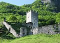 Burgruine Unter-Falkenstein