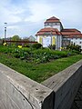 Postplatz Dresden - mit Schauspielhaus