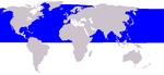 Common minke whale range