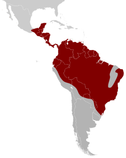 Distribución geográfica de los pípridos.