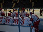 Ishockeyspelare från IF Troja-Ljungby.