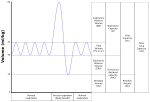 Thumbnail for Functional residual capacity