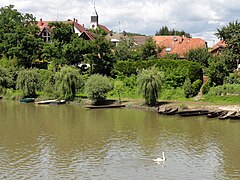 Munchhausen nahe der Sauermündung