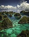 Image 60Piaynemo karst archipelago in Raja Ampat, Southwest Papua (from Tourism in Indonesia)