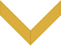 Chevron/ sleeve insignia