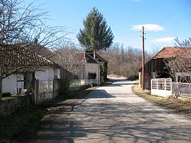 Sibnica (Rekovac)