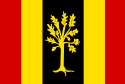 Flagge der Gemeinde Waalwijk