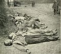 Confederate dead of General Ewell's Corps who attacked the Union lines at the Battle of Spotsylvania.