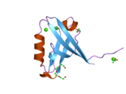 2pkt: Crystal structure of the human CLP-36 (PDLIM1) bound to the C-terminal peptide of human alpha-actinin-1