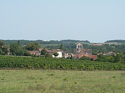 Skyline of Singleyrac