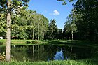 The upper pond in the park