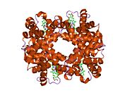 1ye2: T-To-T(High) quaternary transitions in human hemoglobin: betaY35F oxy (2MM IHP, 20% PEG) (1 test set)