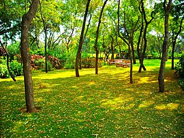 Campus at Dhirubhai Ambani Institute of Information and Communication Technology, Gandhinagar