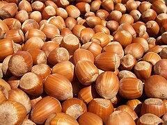 File:Hazelnuts.jpg (2004-11-27)