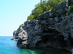 A cliff with woodland