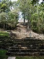 Templo 33 de Yaxchilan.