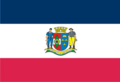 Bandeira de Orleans