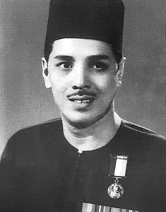 Mohamed bin Hamzah