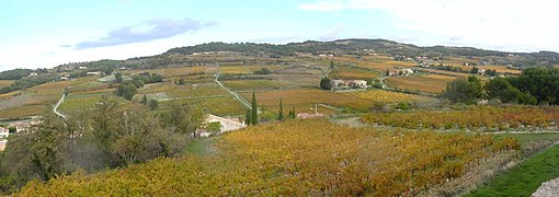 Vignoble à Cairanne