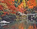 Kyoto in Autumn