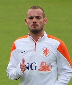 Wesley Sneijder 2014-ben