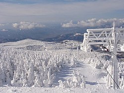 View of Soft rime (Jyuhyo) in Mount Zao