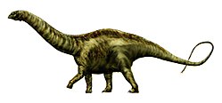 Skitse af Apatosaurus.