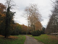 Photographie en couleurs d'une allée arborée.