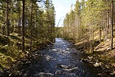 Housivirta creek in Suomussalmi