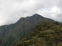 Gunung Korbu dengan tumbuhan sekeliling