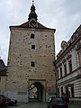 Rynárec Gate