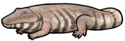 Rastosuchus hammeri