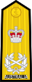 RAN admiral of the fleet shoulder board