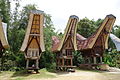 Image 100Tana Toraja in South Sulawesi, one of Destination Management Organization in Indonesia (from Tourism in Indonesia)