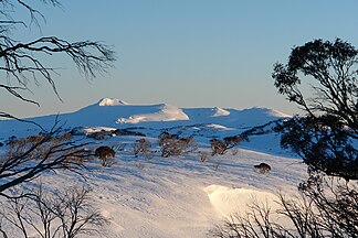 Blick auf den Mount Jagungal (2061 m) in den Snowy Mountains