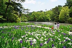 神戸市立森林植物園