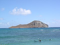 "Rabbit" Island: the emerging lop-eared rabbit is swimming to the right