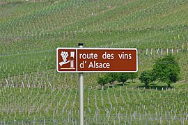 Route des Vins d'Alsace.