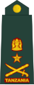 Brigedia jenerali (Tanzanian Army)