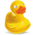 Canard