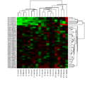 Clusterheatmap in der Genexpressionsanalyse mit Clusterbäumen an den Achsen